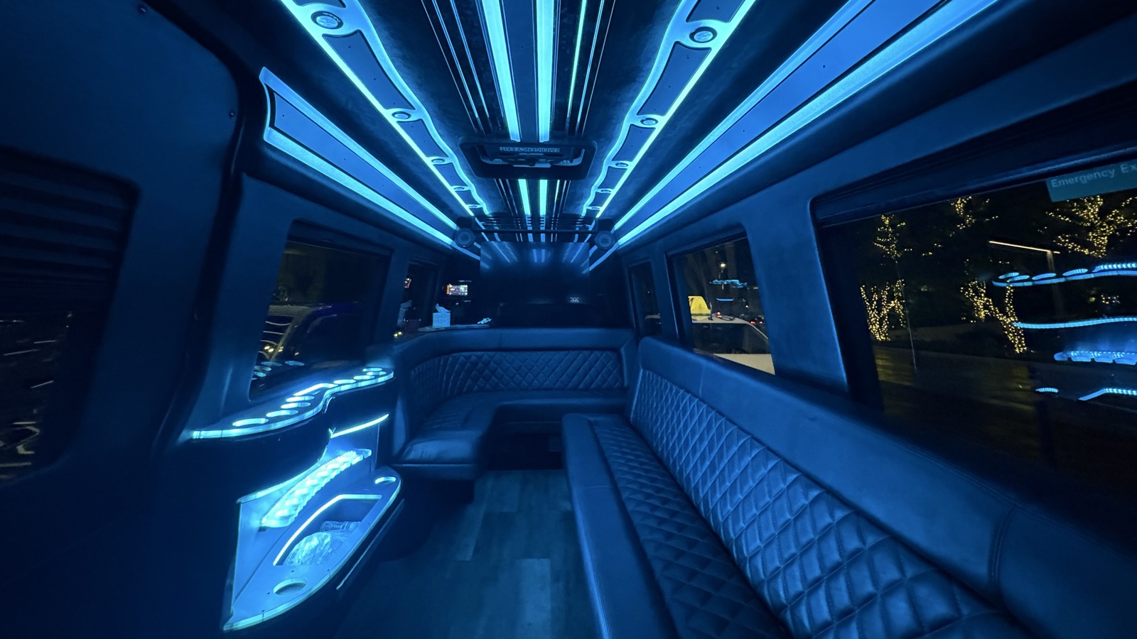 VIP Sprinter — Party Bus, seats 13 · VIP Transportation